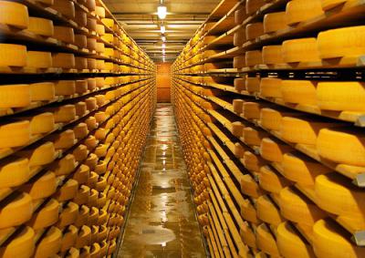 Калоријски садржај руског сира садржи масне угљене хидрате