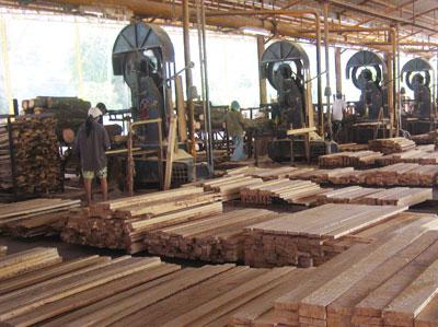 развитие на дървообработващата промишленост