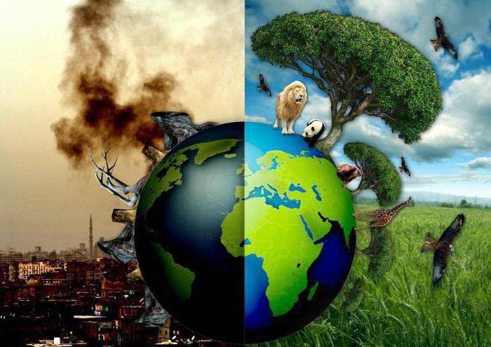 екологични бедствия