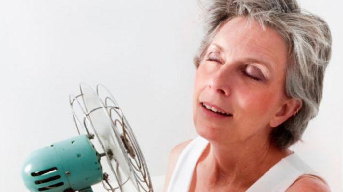 szałwia z menopauzą i uderzeniami gorąca, jak przyjmować przepisy