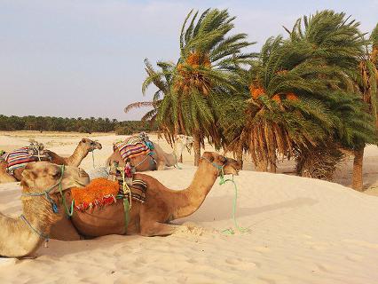šećerna pustinja u Tunisu