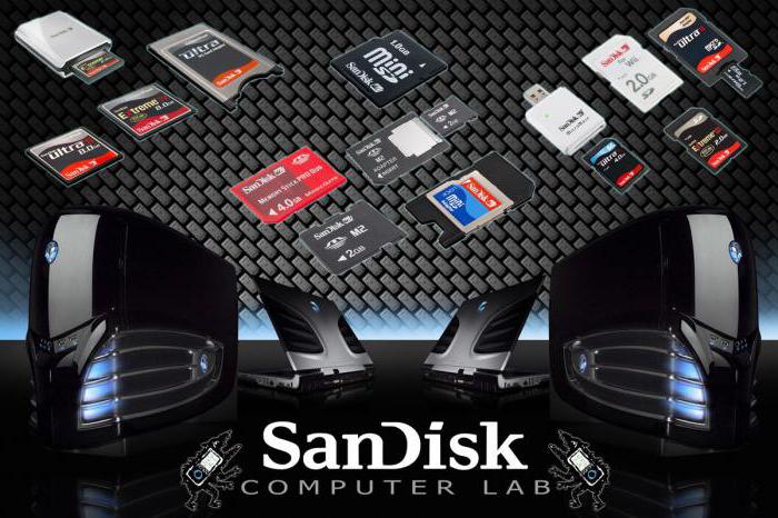 sandisk flash disk