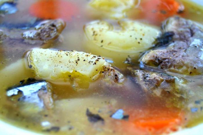 zupa konserwowa saury