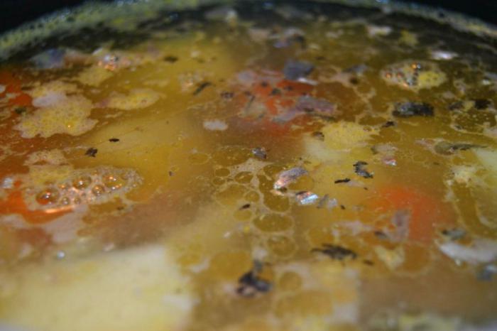 konzervirana juha z žganjem iz prosa