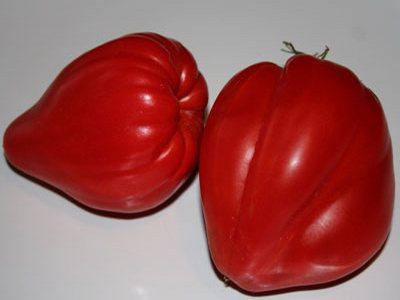býčí srdeční rajče