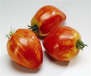 pomidorowy byk serduszko czerwone