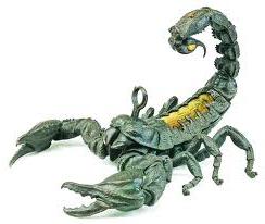 хороскоп за 2012 г. скорпион мъж