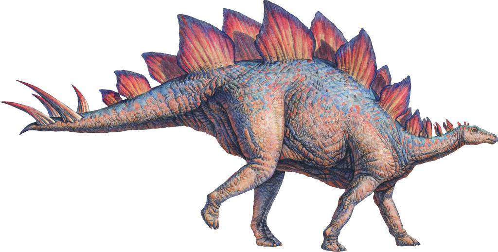 dinosaurus stegosaurusa