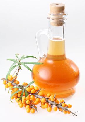 trattamento delle emorroidi con olio di olivello spinoso