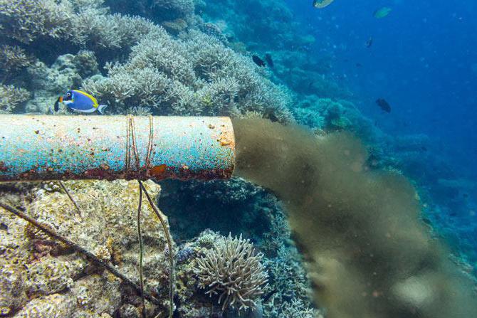 Ресурси о мору Јапана и питања животне средине