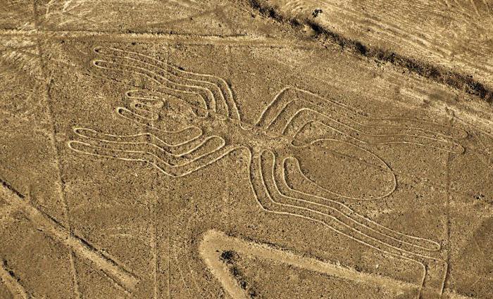 Foto del plateau di Nazca