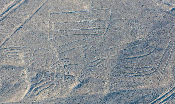 obrazy na płaskowyżu Nazca