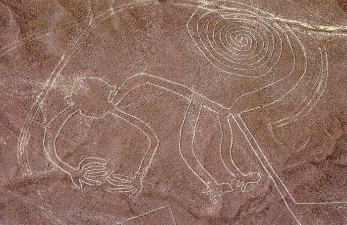 Rysunki płaskowyżu Nazca w piórze