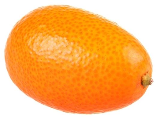 sušené kumquat