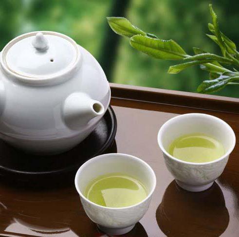 Lastnosti čaja Sencha