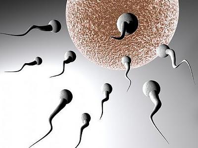 l'uso di sperma