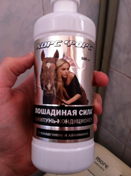 recenze šampon koní
