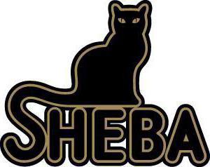 recensioni di cibo per gatti sheba