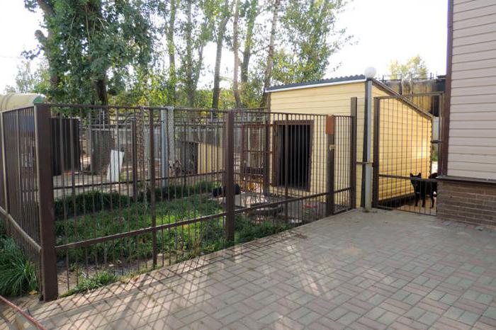 rifugio per cani a Nizhny Novgorod
