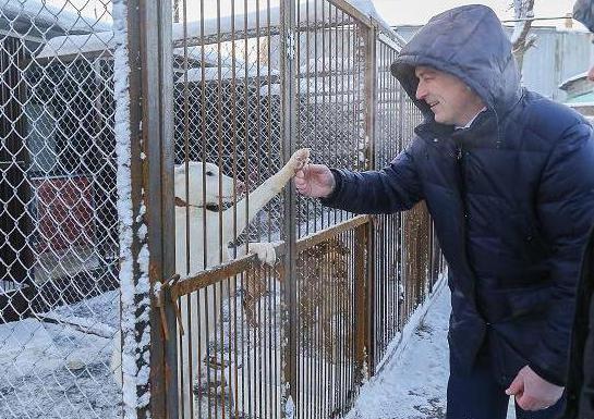 rifugio per animali a Nizhny Novgorod