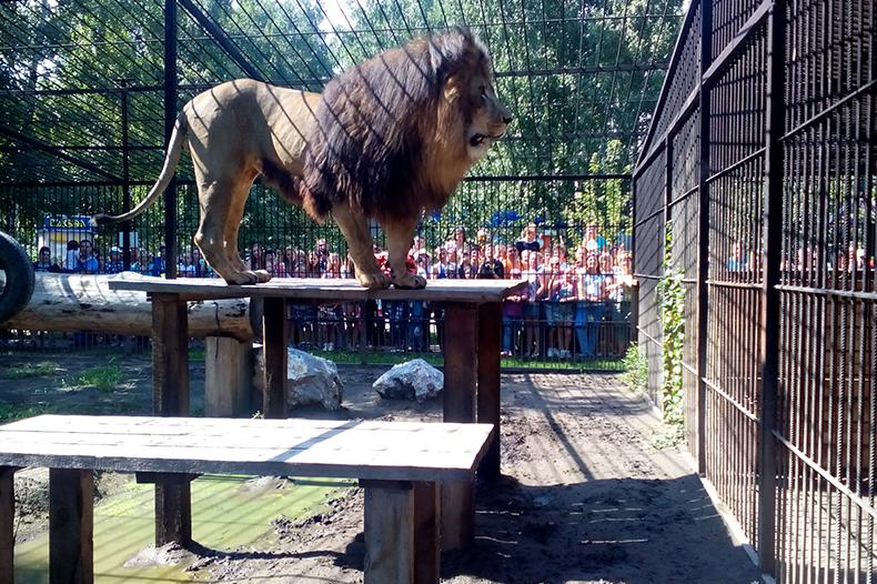 Зоопарк в Барнаул
