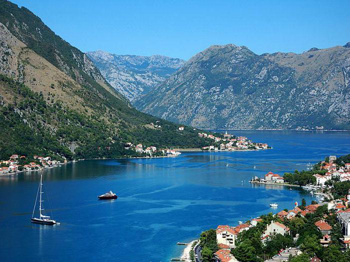 Kotorski zaljev