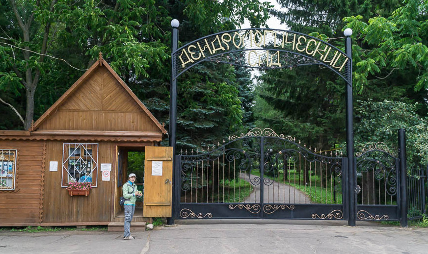 Dendropark in Pereslavl-Zalessky