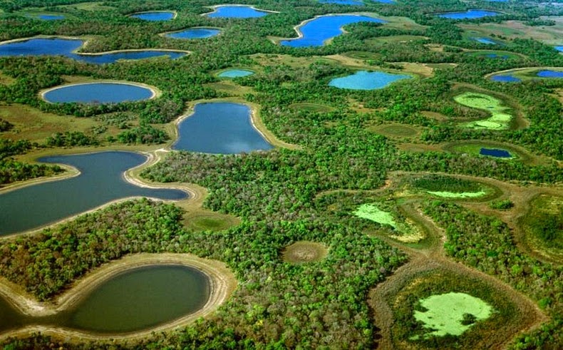 Paludi Pantanal