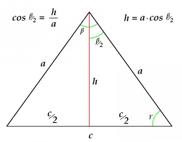 mediana v enakokrakega trikotnika