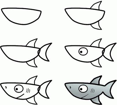 kako nacrtati morskog psa