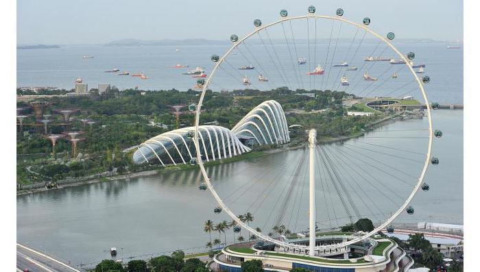 Opis Ferrisovega kolesa Singapurja