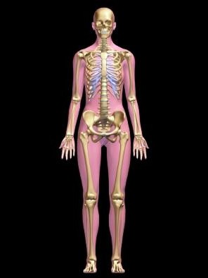 skeletální kostní scintigrafie