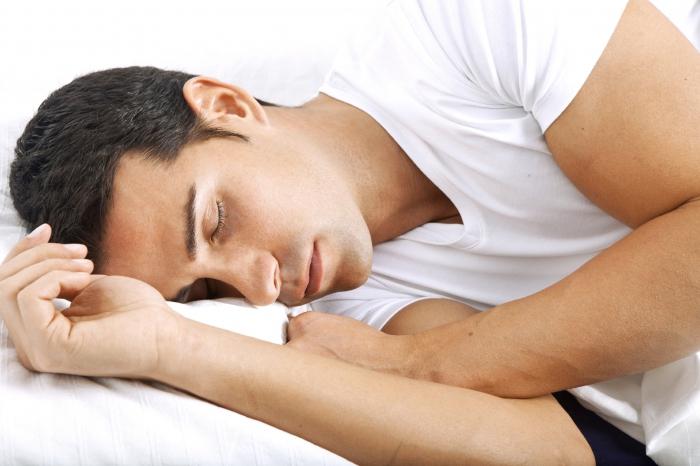 lidské spánkové fáze