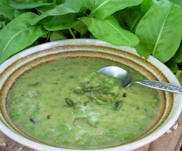 Ricetta zuppa di acetosa