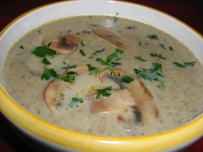 come cucinare la zuppa con la ricetta dei funghi porcini