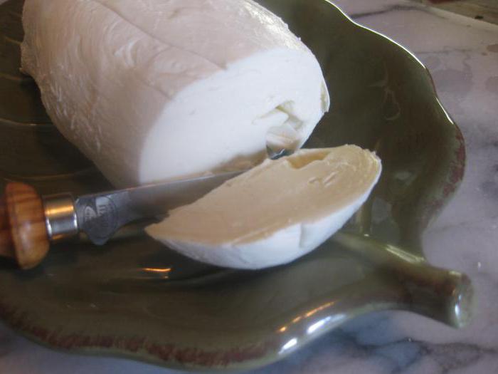 formaggio a lievitazione naturale fatto in casa