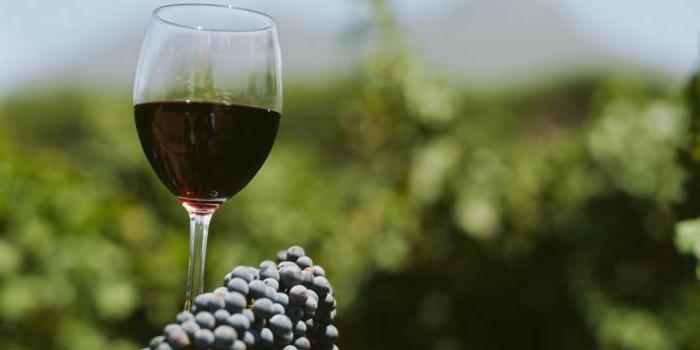 Rioja víno