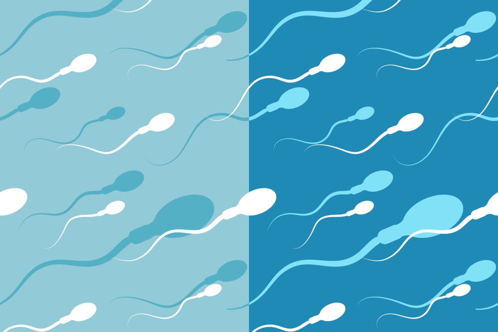 услови донације сперме