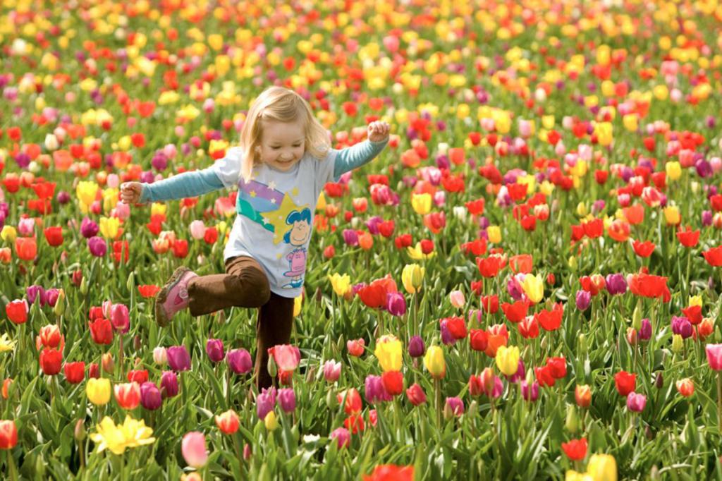 Радост на цветята, радост на пролетта!