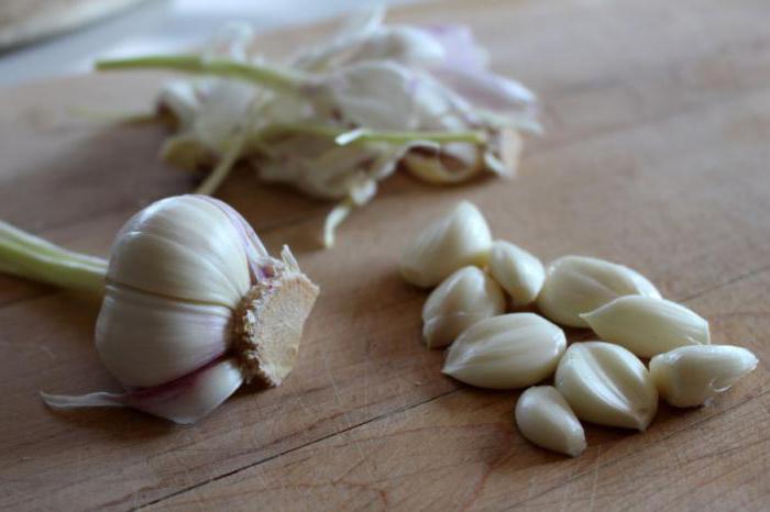 coltivazione e cura dell'aglio primaverile