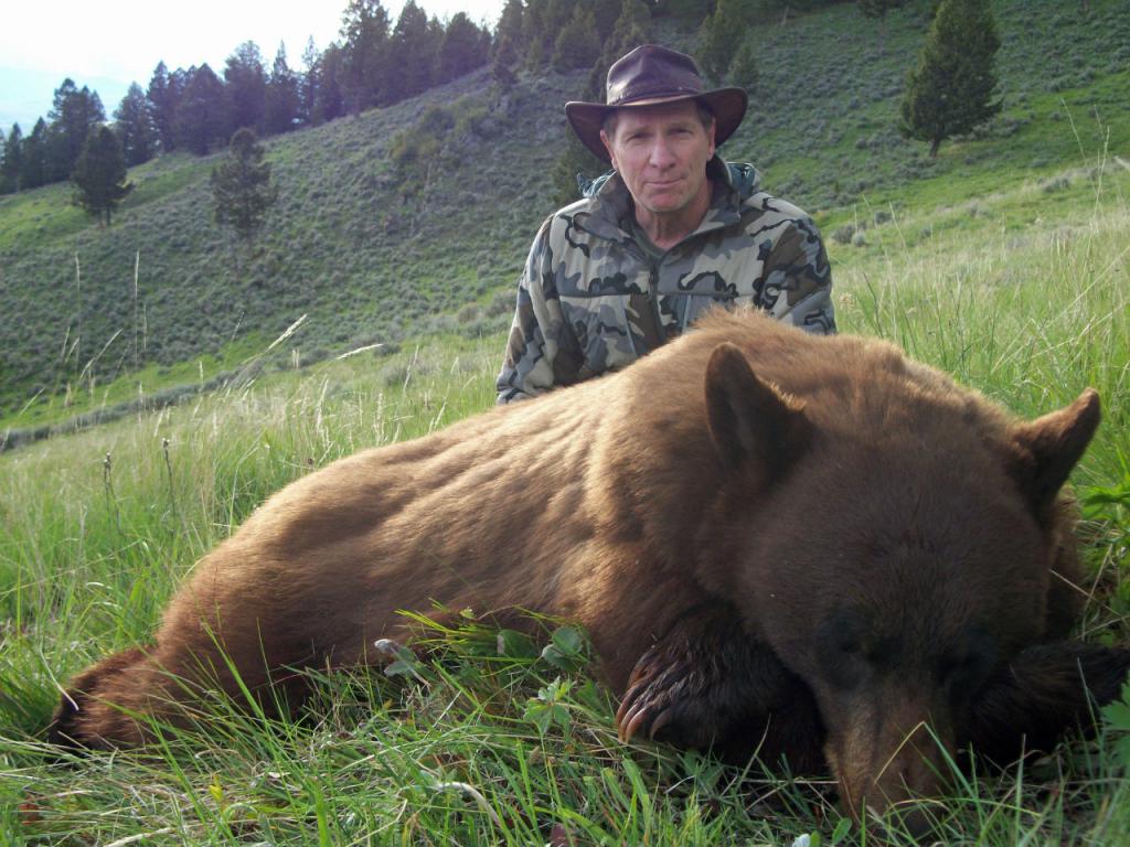 Il cacciatore ha sparato a un enorme orso