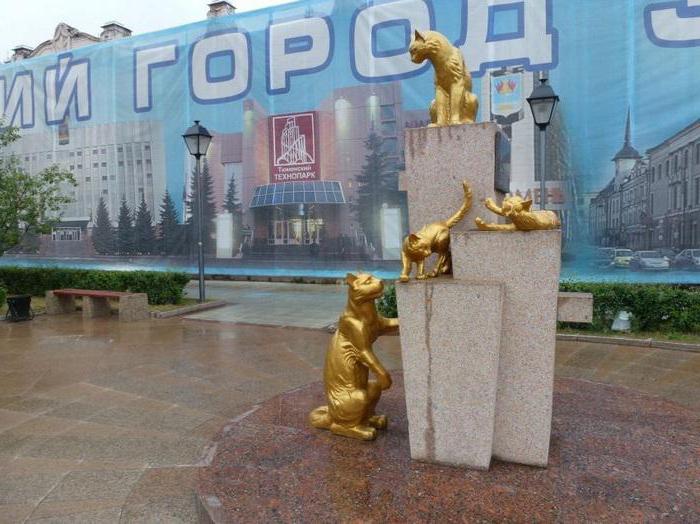 gatti siberiani quadrati storia di Tyumen