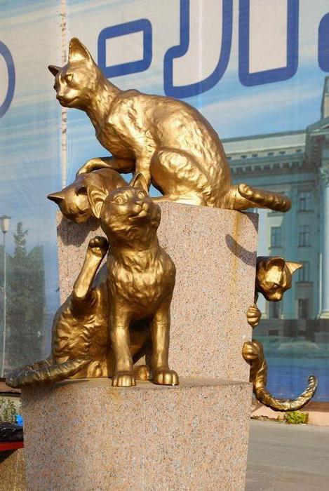 náměstí sibiřské kočky fotografie