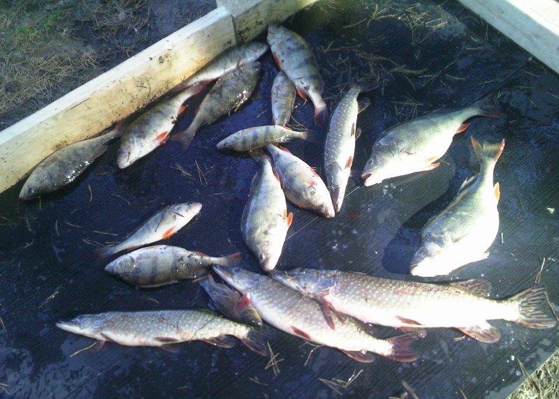 Rybolov na jezeře sv. Ondřeje