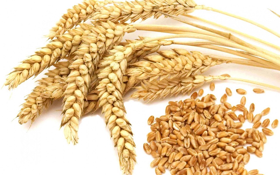 Jak si připravit Kutyu z pšenice