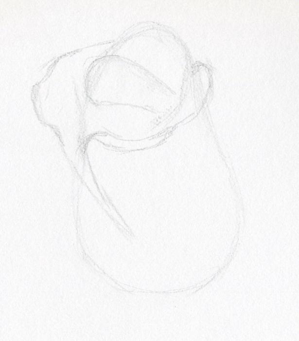 nacrtati ružu u olovci