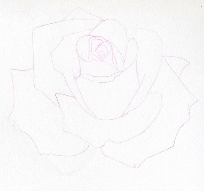 нацртајте ружу у оловци