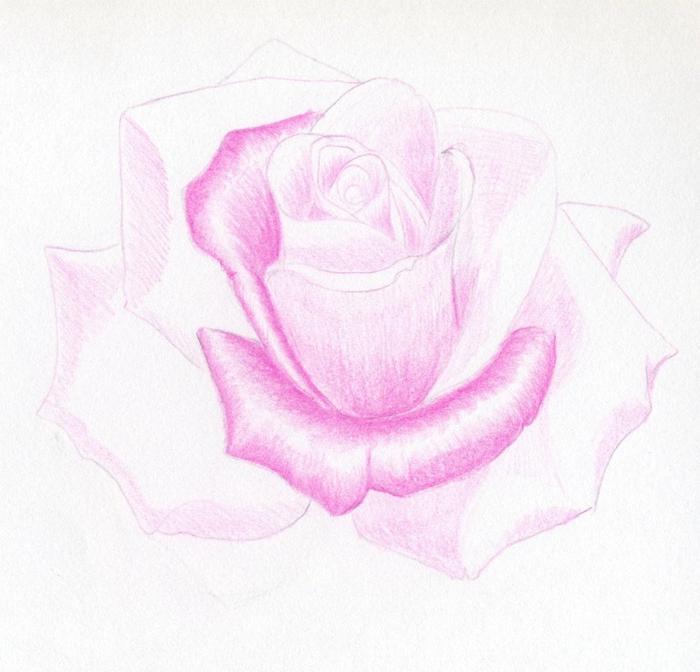 kako nacrtati ružu
