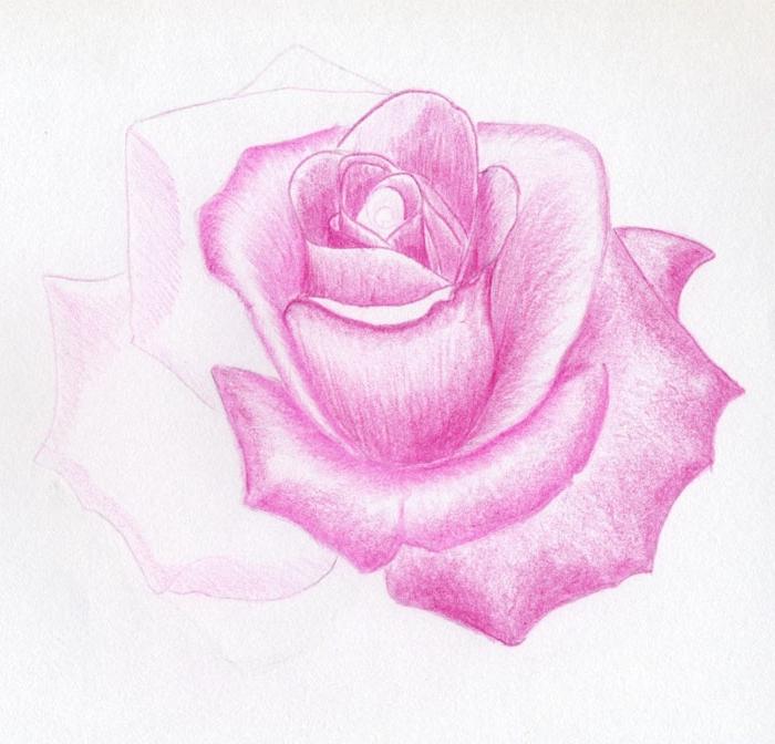 нарисувайте роза