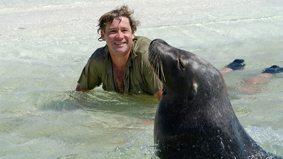 Naturalista cacciatore di coccodrilli Steve Irwin